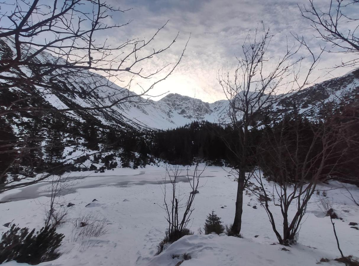 Western Tatras Slovakia Oravsky Biely Potok Bagian luar foto