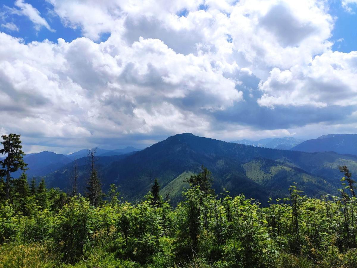 Western Tatras Slovakia Oravsky Biely Potok Bagian luar foto