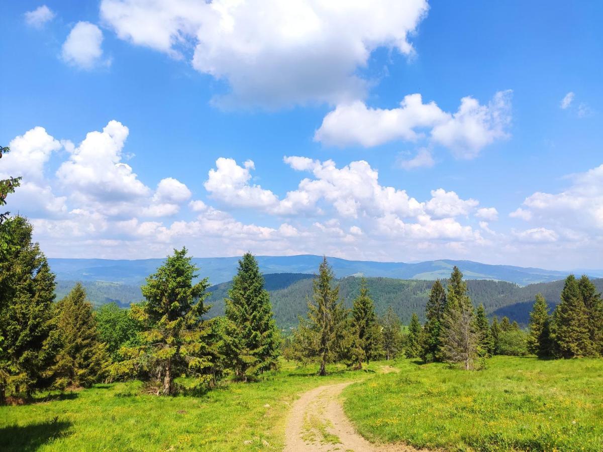 Western Tatras Slovakia Oravsky Biely Potok Bagian luar foto